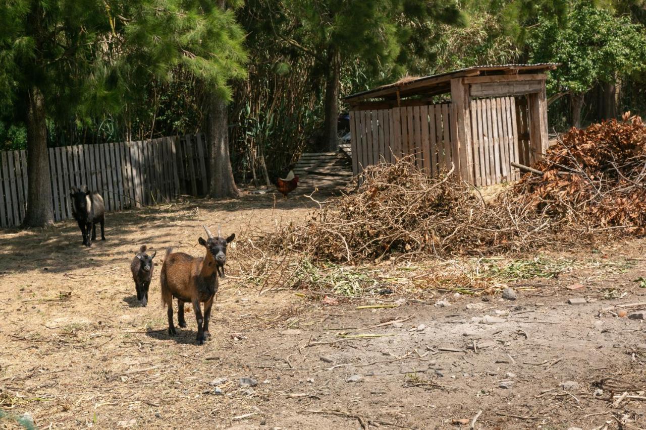 Villa Arneiro 1 Maçeira Kültér fotó